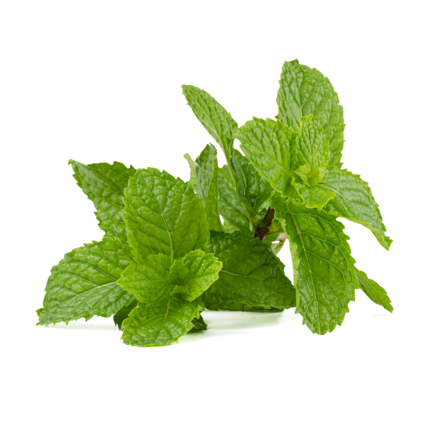 mint leaf, mint, peppermint-5000530.jpg